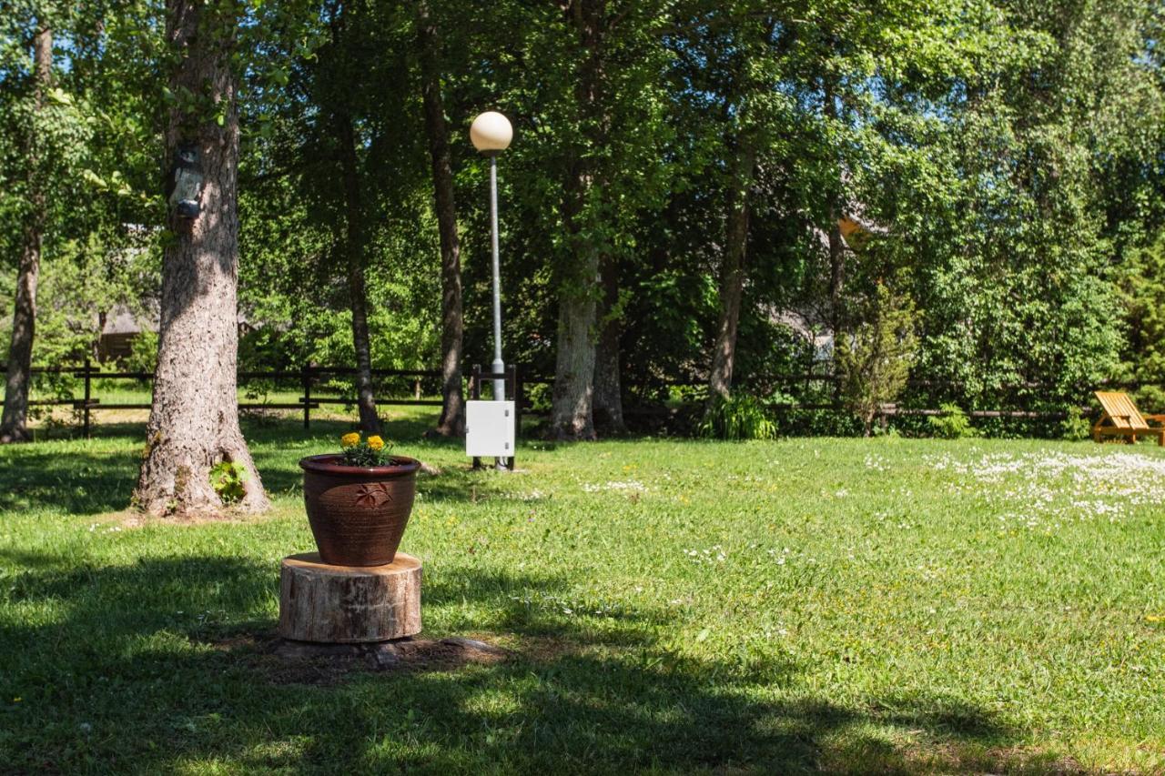 Tehumardi Camping Salme Kültér fotó