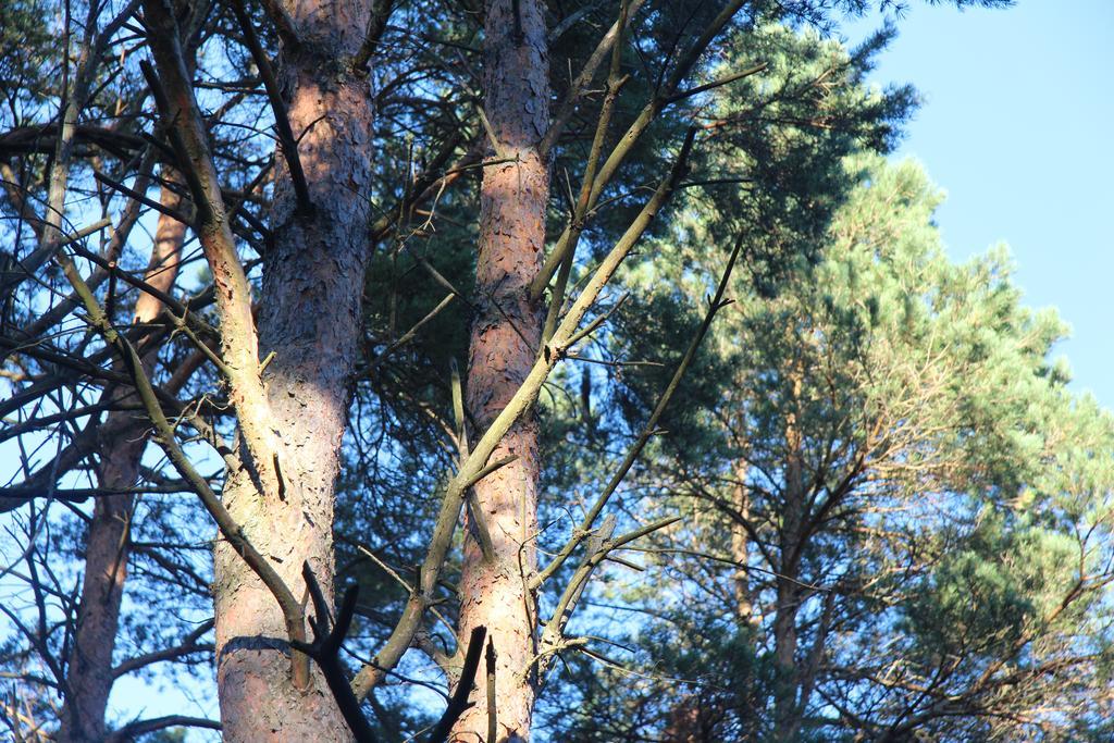 Tehumardi Camping Salme Kültér fotó