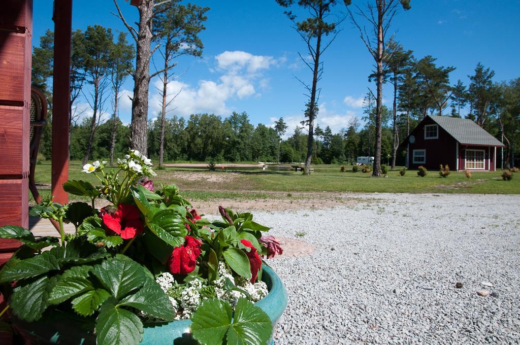 Tehumardi Camping Salme Kültér fotó