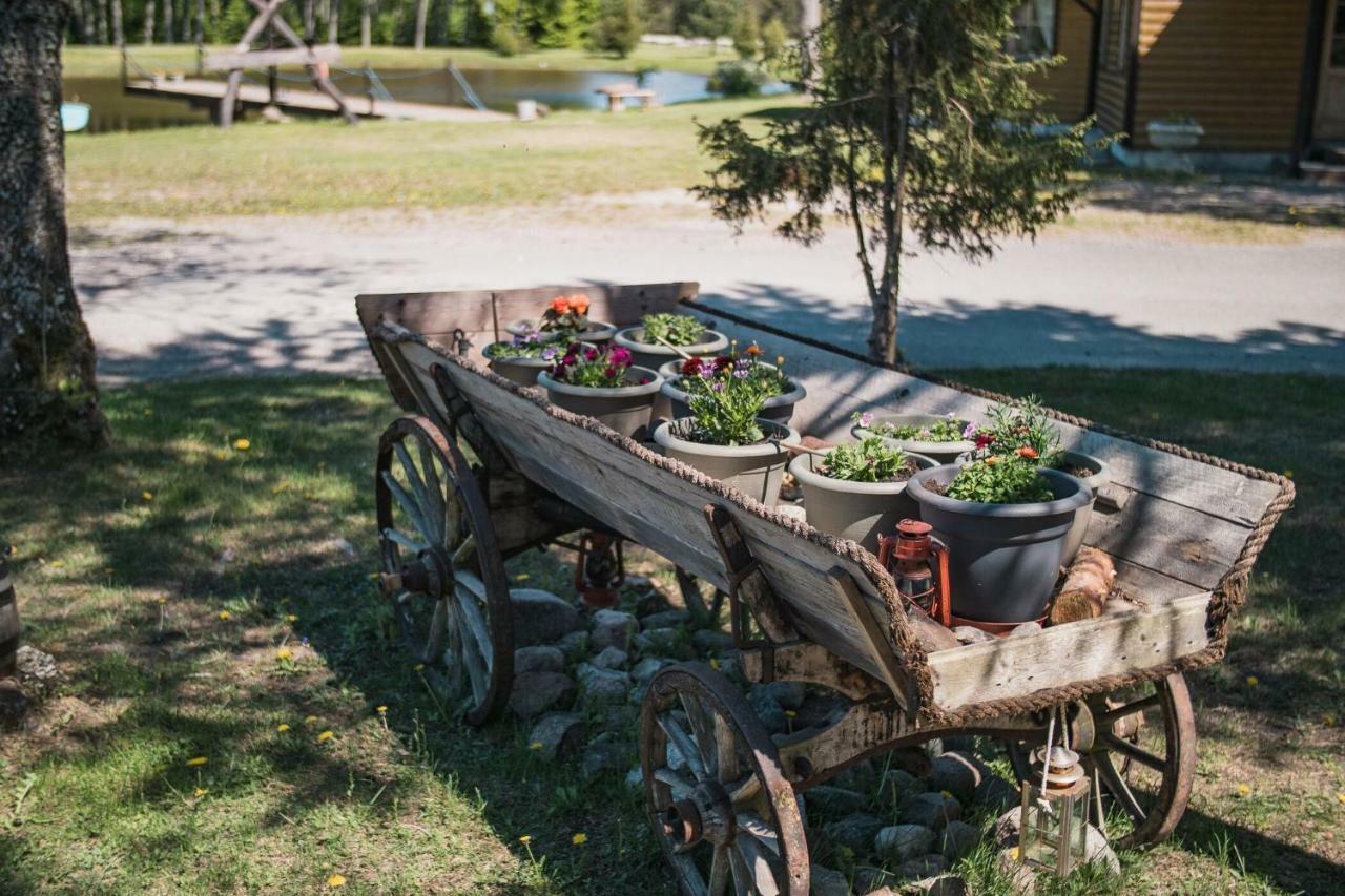 Tehumardi Camping Salme Kültér fotó